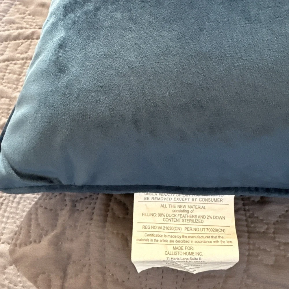 Callisto Home wonderful used